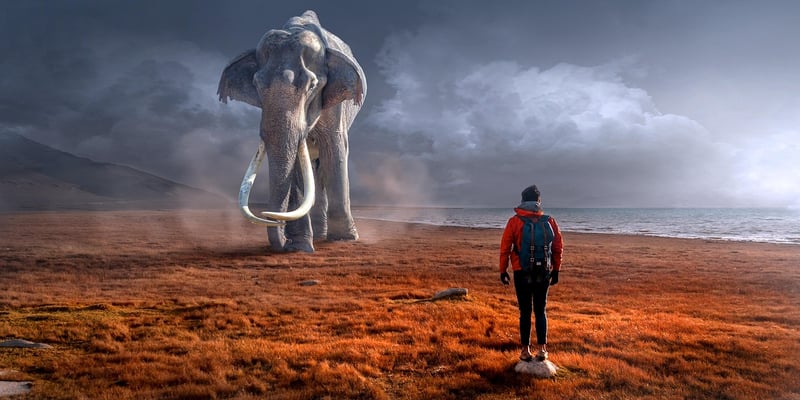 Alien Encounters